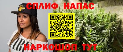 гашик Будённовск