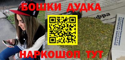гашик Будённовск
