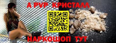 гашик Будённовск