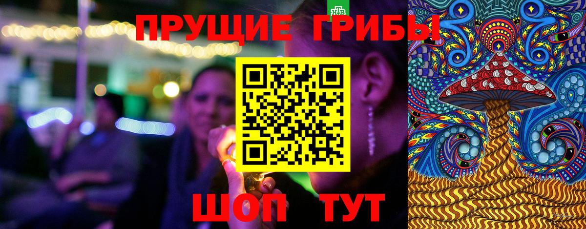 Псилоцибиновые грибы Cubensis  Вход с VPN  Ростов Великий 